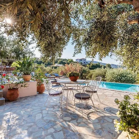 Blue Heaven Pool In Olive Grove Villa