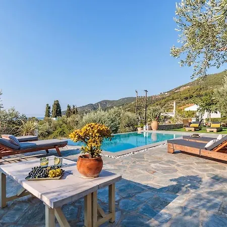 Blue Heaven Pool In Olive Grove Skopelos