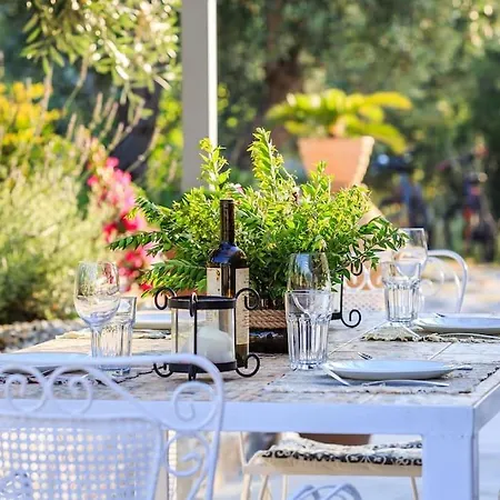 Villa Blue Heaven Pool In Olive Grove