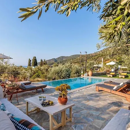 Blue Heaven Pool In Olive Grove Villa
